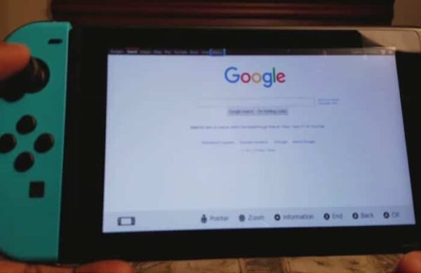 how to use hidden web browser on nintendo switch