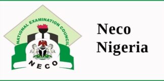 NECO1