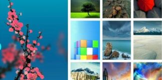 PicsArt 07 25 06.09.03