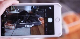 PhotoSearch2