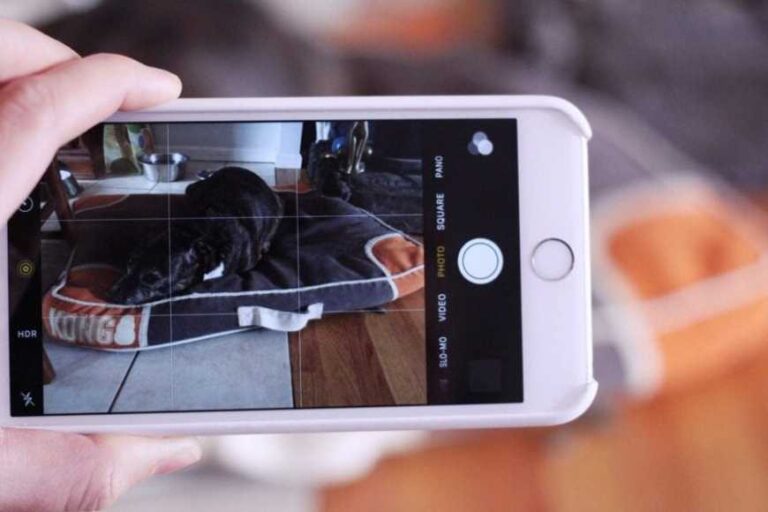 PhotoSearch2