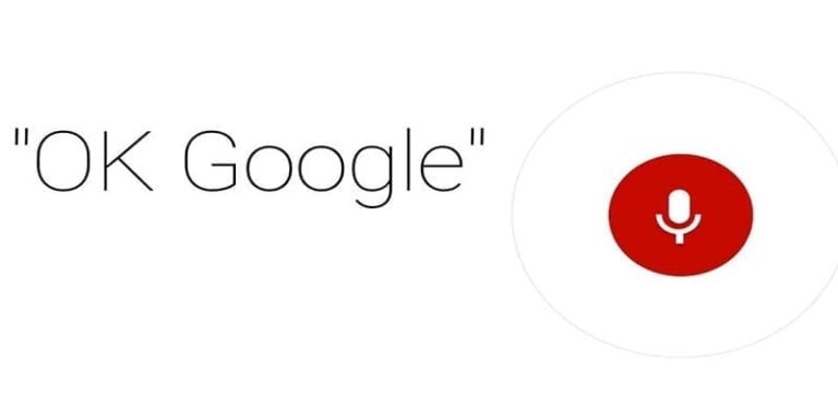 Ok GoogleRELAL