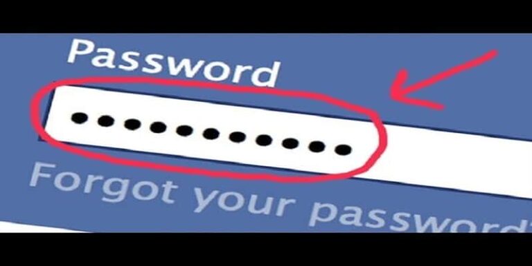 SeePassword3real