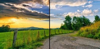 HDR HDR10 HDR10 Plus Dolby Vision