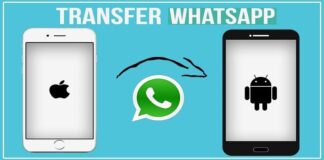 TransferWhatsapp3real