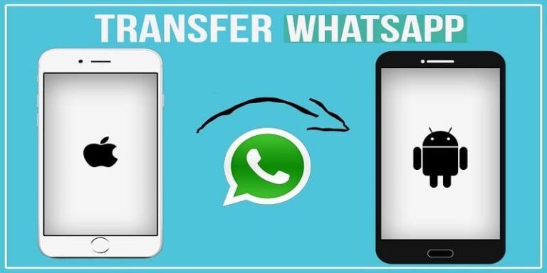 TransferWhatsapp3real