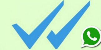 Read WhatsApp Messages