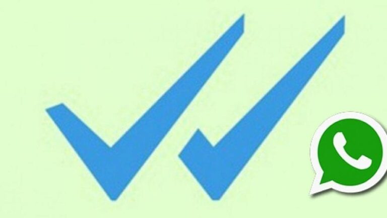 Read WhatsApp Messages