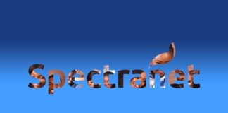 Spectranet2real
