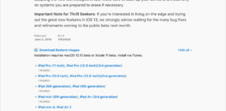 Download iPadOS Developer Beta