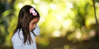 How to get the Bokeh effect on all smartphones
