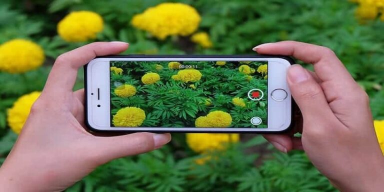 iPhoneBrightenreal