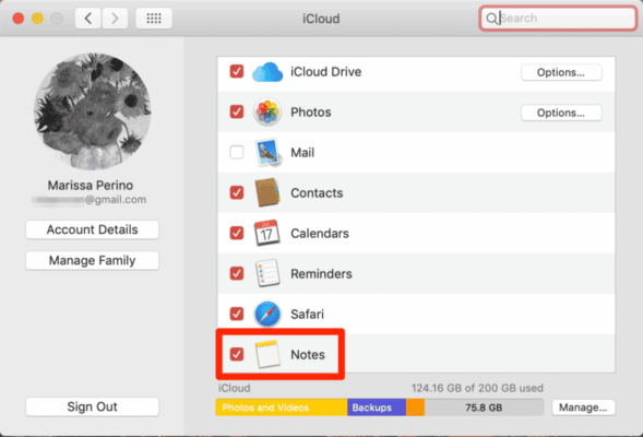 Notes iPhone Mac iCloud