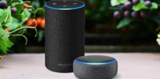 Amazon Echo hhf scaled