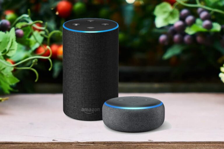 Amazon Echo hhf scaled