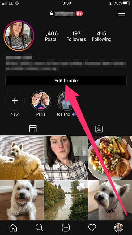 Link Instagram Bio Desktop