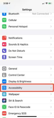 Magnifier Feature On iPhone