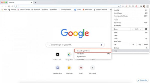 find version of google chrome