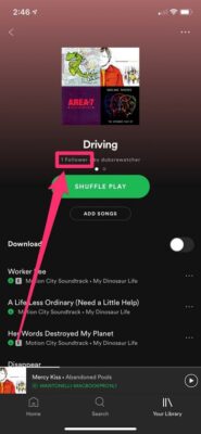 Followers Of Spotify Playlist