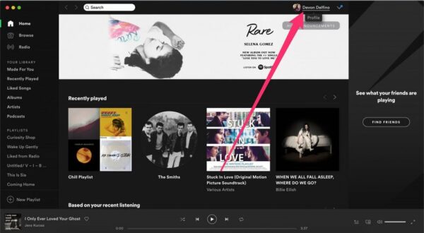Followers Of Spotify Playlist