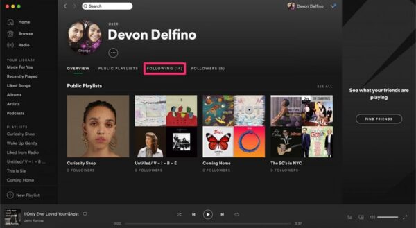 Followers Of Spotify Playlist