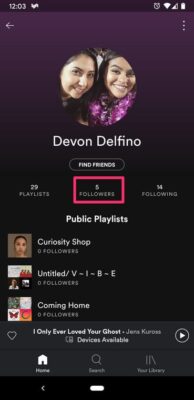 Followers Of Spotify Playlist