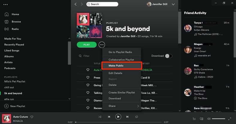 Make Spotify Playlist Public