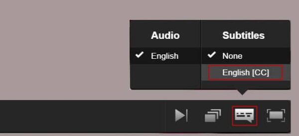 Change The Language On Netflix