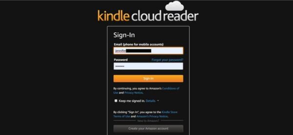 Read Kindle Books On PC