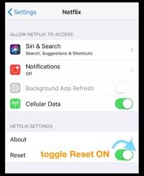 Fix Netflix Issues On iPhone
