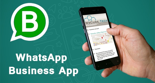 Make Money On WhatsApp TV