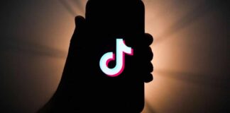 Embed TikTok Videos In WordPress