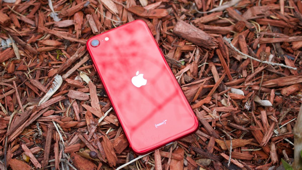 Choose Best Color iPhone SE 2020