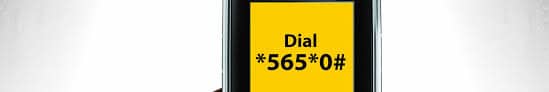 Change BVN Date Of Birth Phone Number