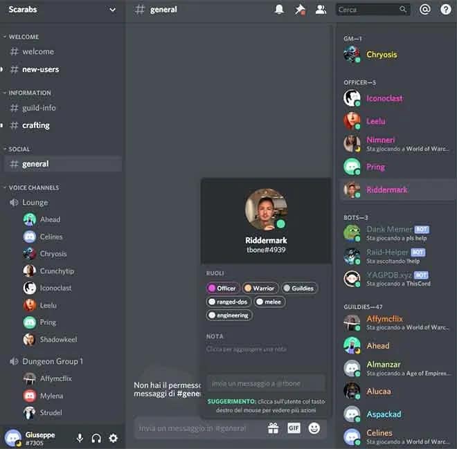 Discord Phone Video Call And Screen Sharing