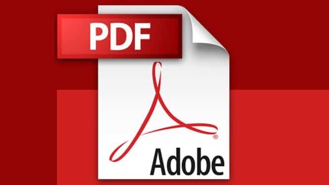 Pdf