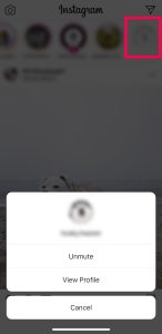 Unmute Instagram Story