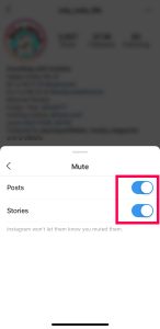 Unmute Instagram Story