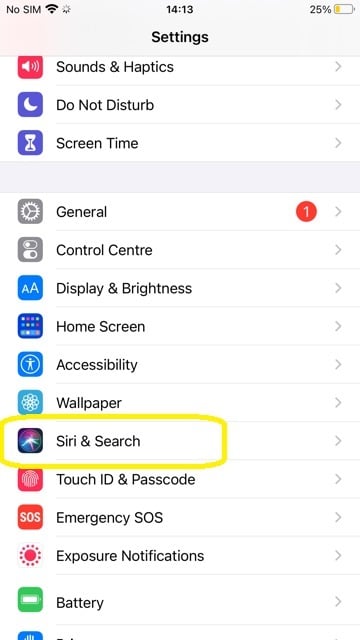 make iphone simpler elderly