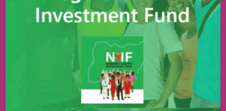 Apply Nigeria Youth Investment Fund