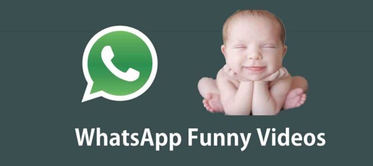 Funny Videos For Whatsapp