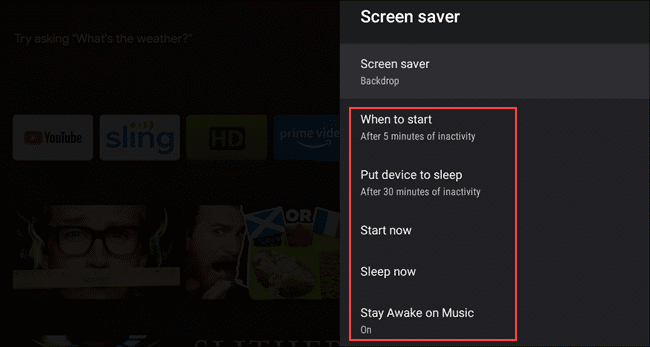 Customizable options
