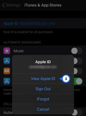Cancel App Store Subscriptions
