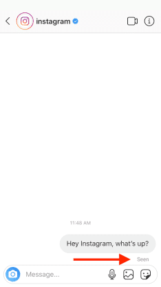 Know Instagram DM Read