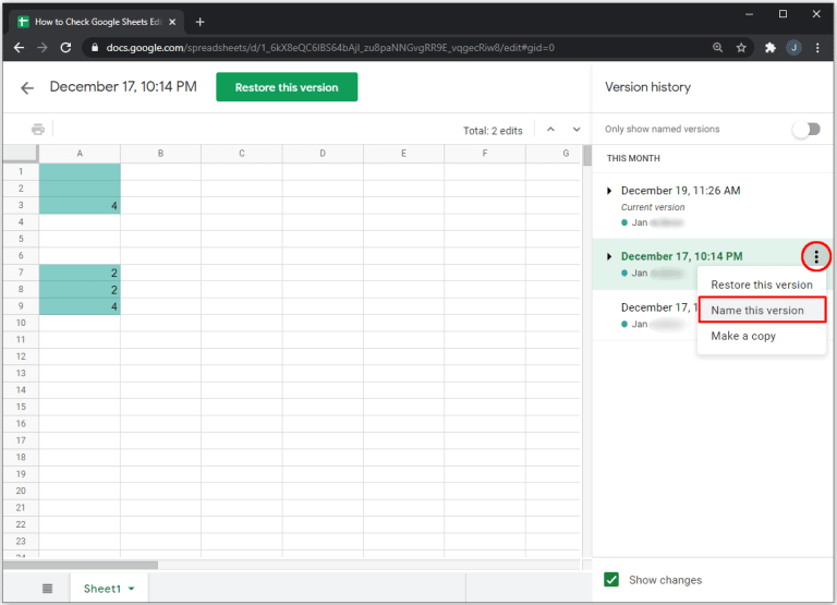 Check Edit History Google Sheets