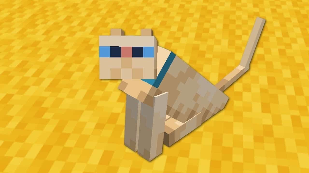 How To Tame A Cat In Minecraft