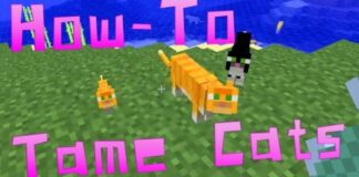 Tame A Cat In Minecraft