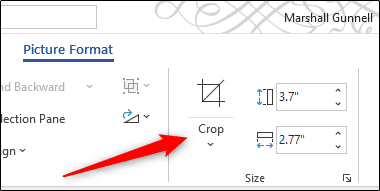 Crop Option In Size Group