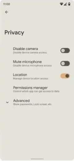 Android 12 Privacy