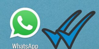 Blue Tick Update